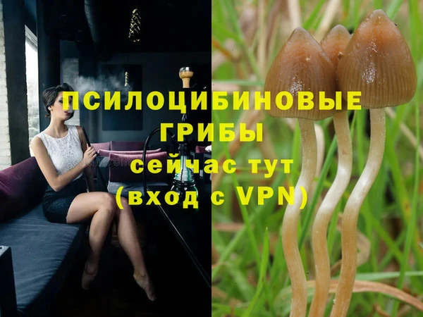 гашиш Алексеевка
