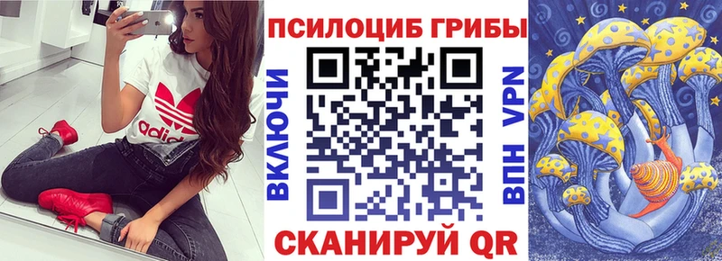 Галлюциногенные грибы Cubensis  Бежецк 